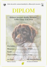 Výtvarný a grafický návrh, Diplom 